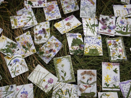 Ugye szépek a képek a fűben?