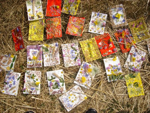 Íme a rögtönzött tárlat – természetes háttérrel.