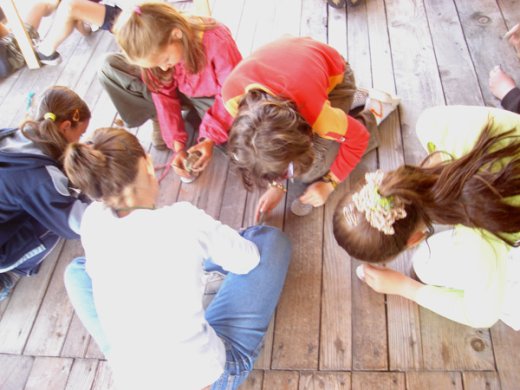 Most épp honfoglaláskori ötvösmesterek vagyunk, és indás, tulipános korongokat kopácsolunk.