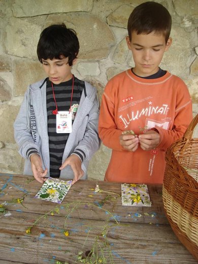 ... nem törődök semmi mással, csak a „ragasztott” virággal...